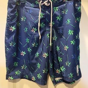 American Eagle Outfitters Navy Palm Print Board Shorts